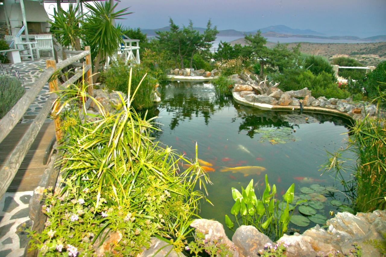 Villa Zografos إيراكليا المظهر الخارجي الصورة