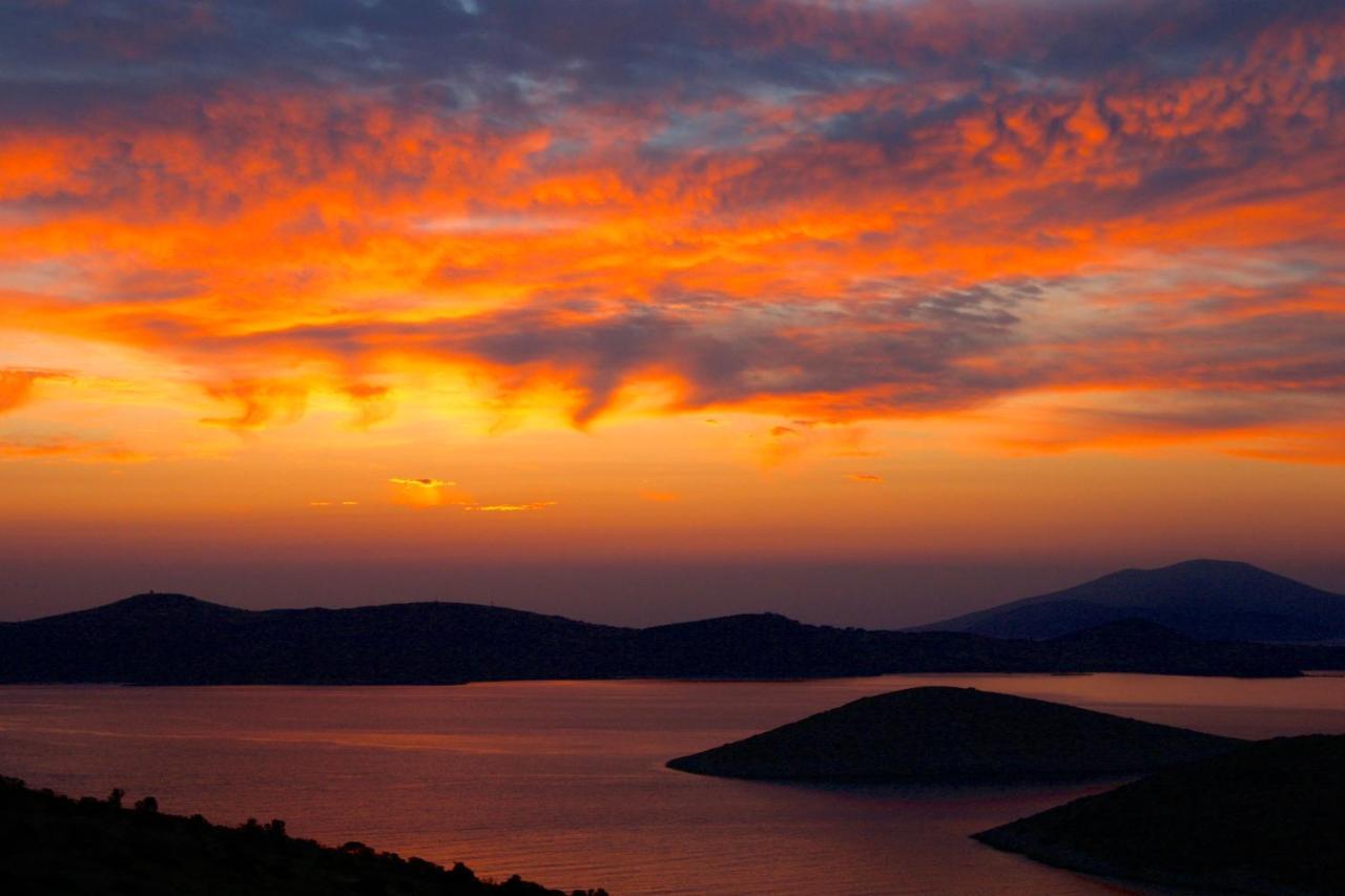 Villa Zografos إيراكليا المظهر الخارجي الصورة