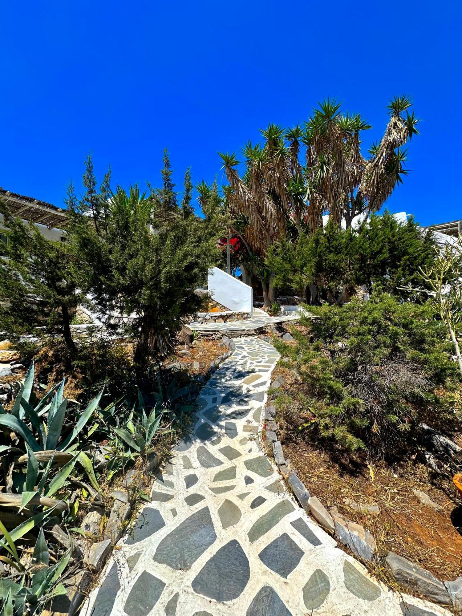 Villa Zografos إيراكليا المظهر الخارجي الصورة